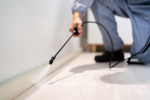 Professional exterminator conducting IPM assessment in Signal Hill